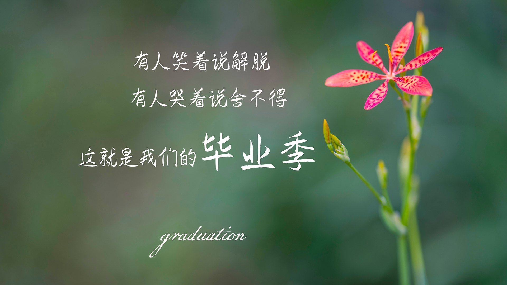 WRC败者逆袭：逆境中的精彩表现，败者组1穿7