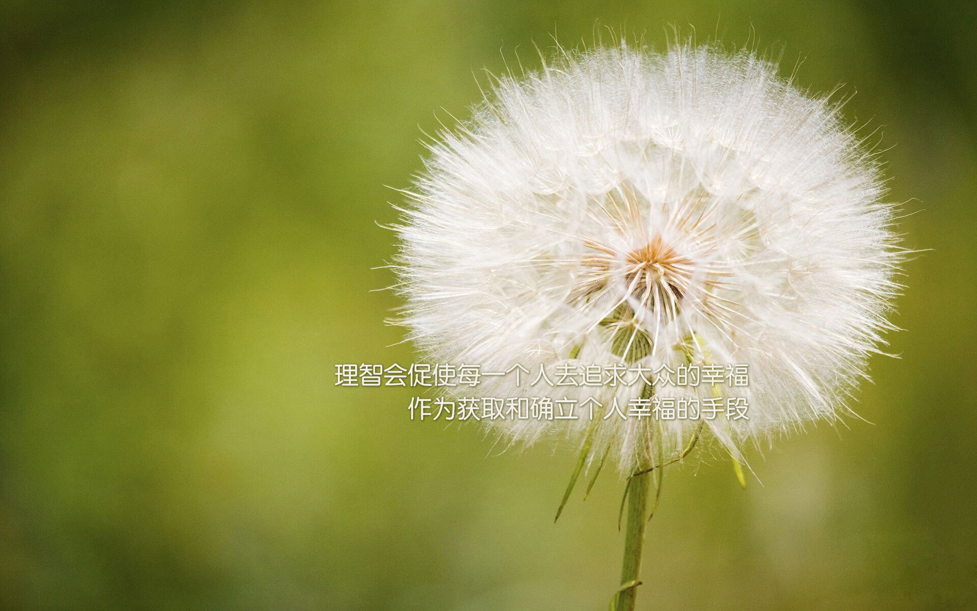 LPL夏季赛关键对决前瞻,lpl夏季赛季后赛决赛时间