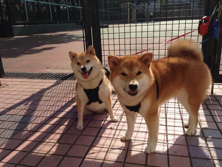 世俱杯赛程-国民队力克佩纳罗尔，积分榜紧追，佩纳罗尔主场球衣