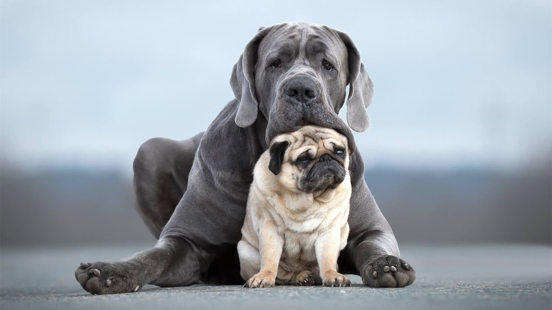 尤文图斯前锋受伤,及早康复将成关键,尤文图斯伤停情况