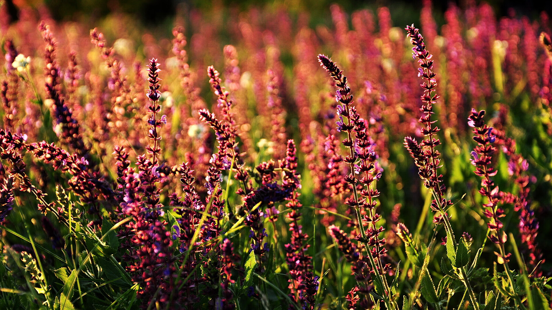 2025世俱杯赛程表-世界杯预选赛中国青年队战败 战术执行需提升，世界杯预选赛中国队打平